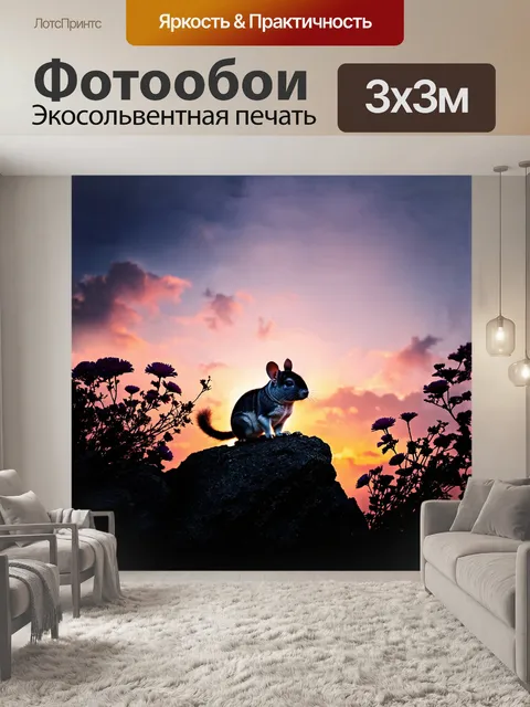 Фотообои шиншилла стоит на высоком скале, наблюдая за горизонтами, её силуэт контрастирует с ярким закатом