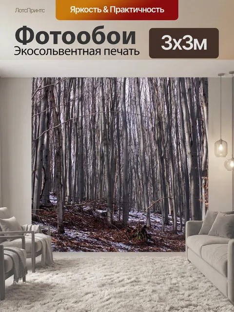 Фотообои Лес