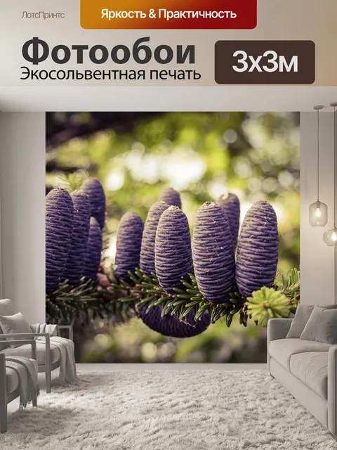 Фотообои Сосновые шишки