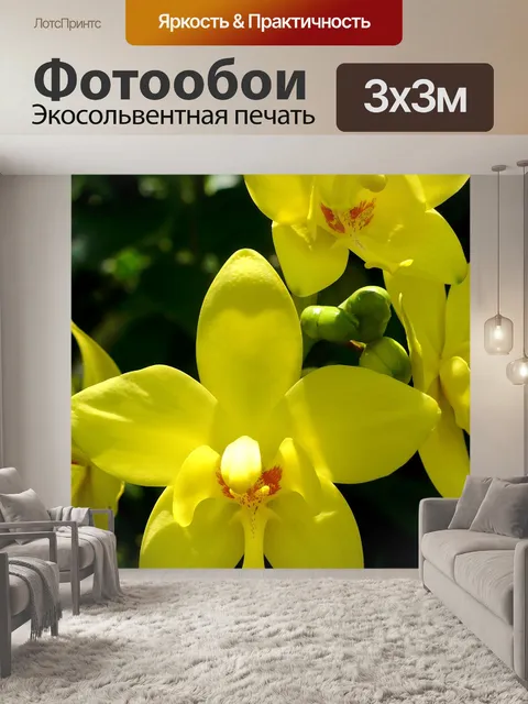 Фотообои Орхидеи