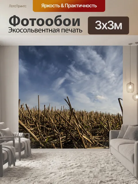 Фотообои Поле с Сенной