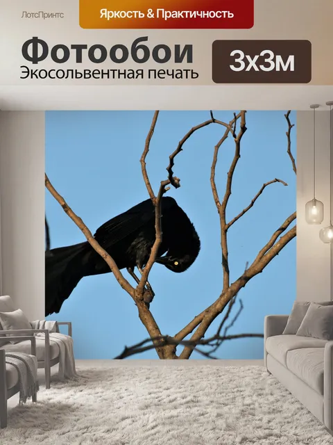 Фотообои Большехвостая гракл-птица на дереве