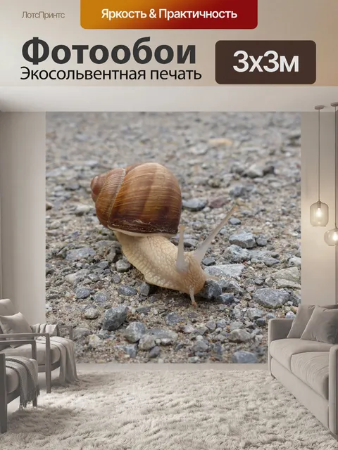 Фотообои Улитка