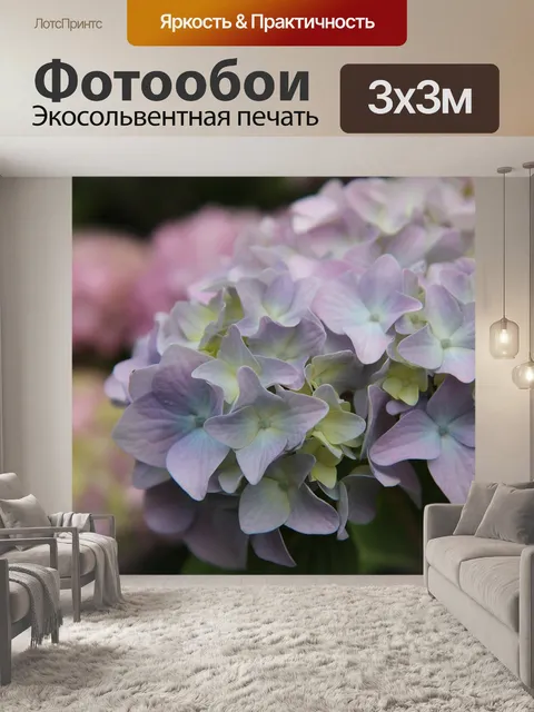 Фотообои Гортензия