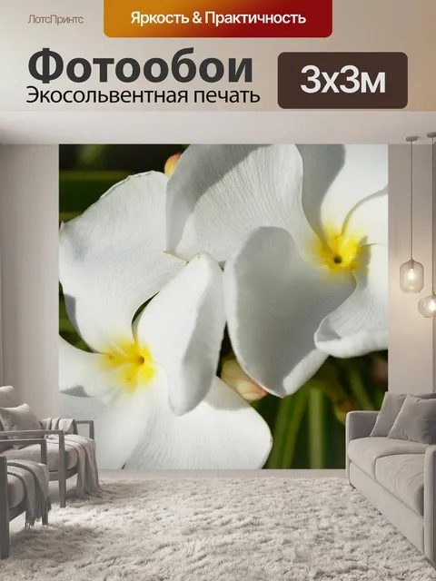 Фотообои Мадагаскарская пальма