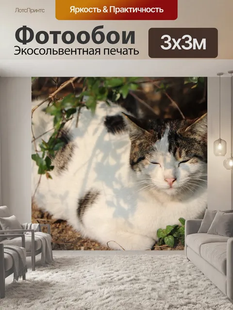 Фотообои Красивая