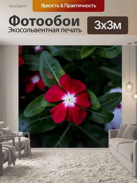 Фотообои Фиолетовый
