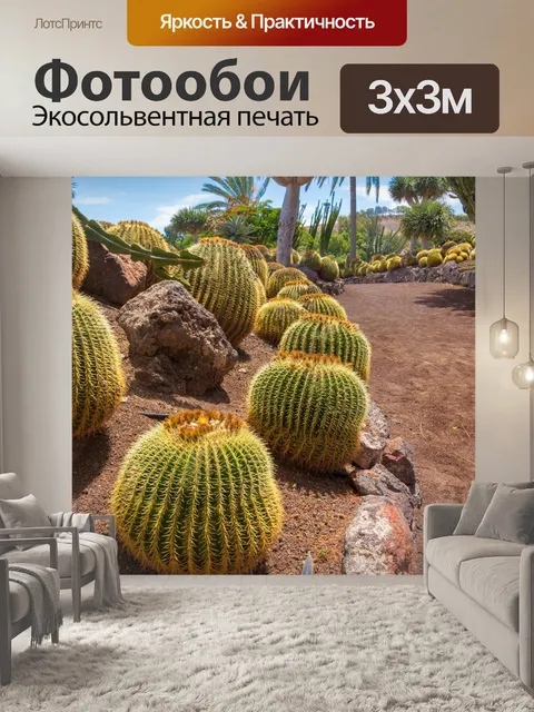 Фотообои Кактус Золотая бочка