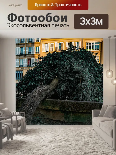 Фотообои Дерево