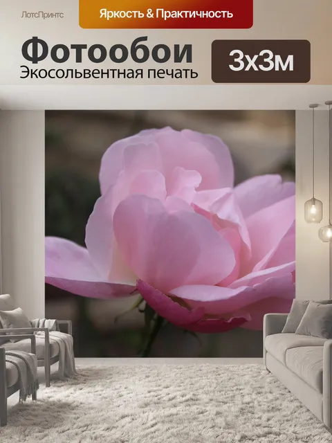 Фотообои Цветок ،rosepink