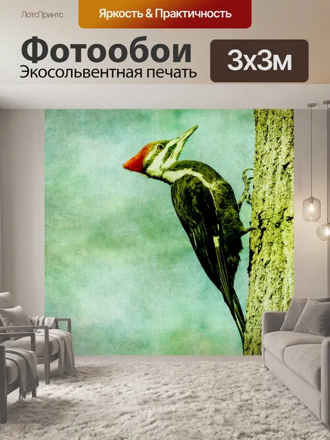 Фотообои Дятел на дереве