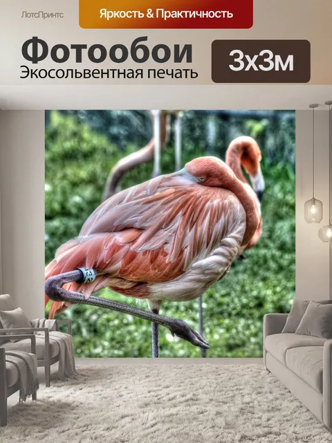 Фотообои Фламинго