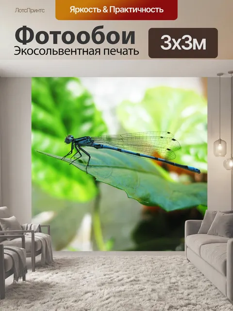 Фотообои Стрекоза