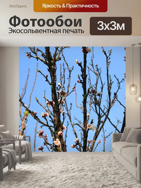 Фотообои ветви с цветками