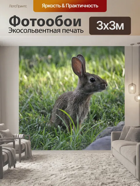 Фотообои Весна