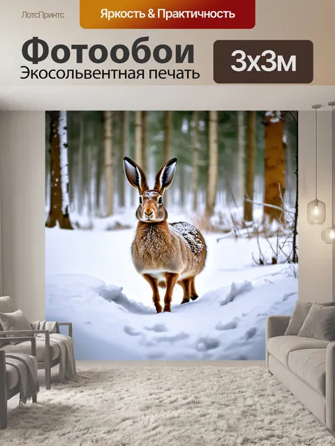 Фотообои россия — зимой в карельских лесах, покрытых снегом, охота на зайцев и наслаждение естественной красотой