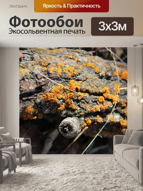 Фотообои Желтый моховый лишайник на дереве