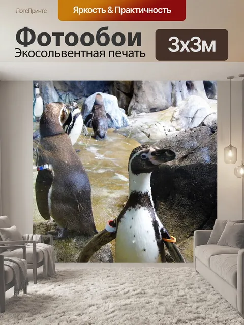 Фотообои Пингвины