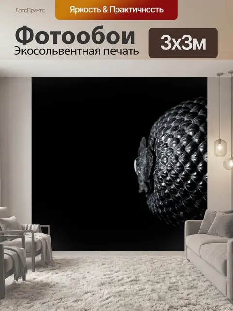 Фотообои Семя