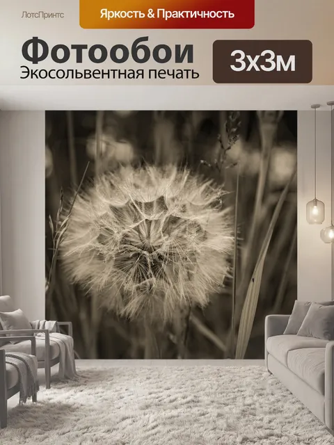 Фотообои одуванчик