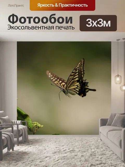 Фотообои Бабочка