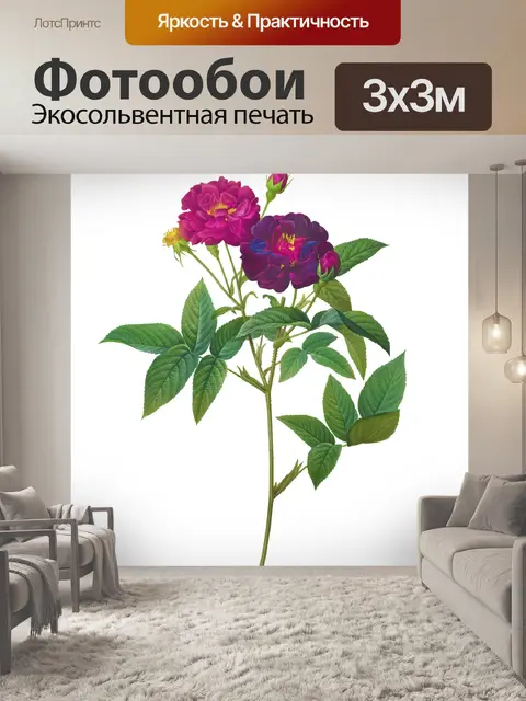 Фотообои Роза цветок старинная картина