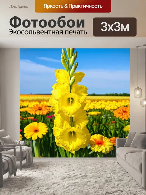 Фотообои поле с большими желтыми гладиолусами, которые воплощают тепло лета и окружены цветущими герберами