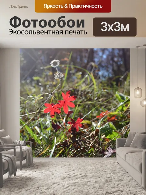 Фотообои Листья