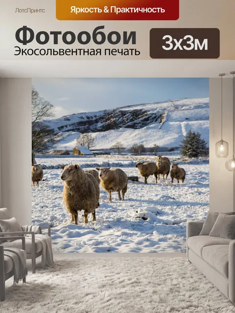 Фотообои Овцы в снегу