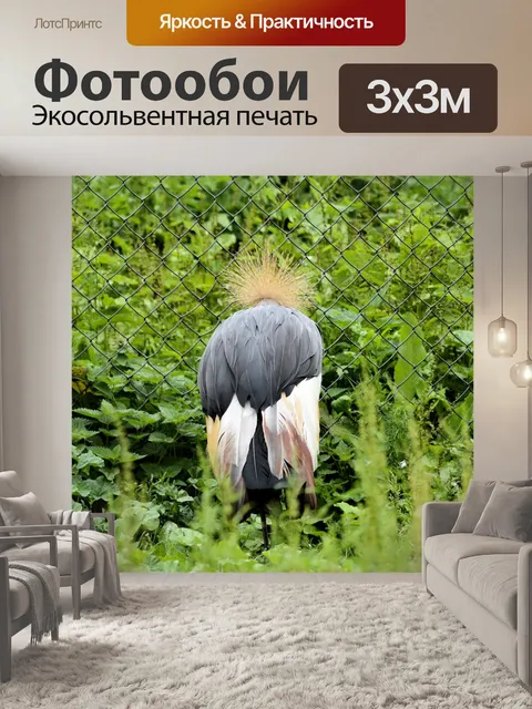 Фотообои Увенчанный кран