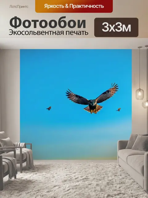 Фотообои совы, улетающие в утреннее небо