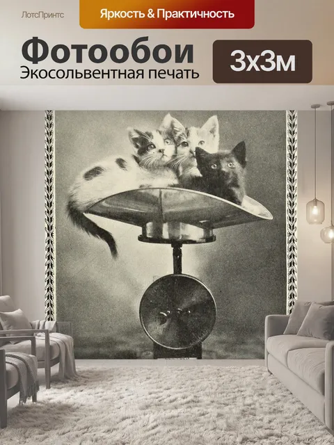 Фотообои Кошки Кошки весом