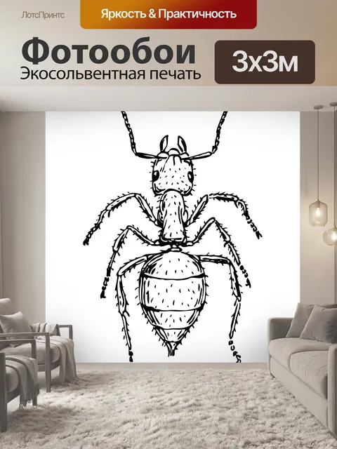 Фотообои Иллюстрация Ant Clipart