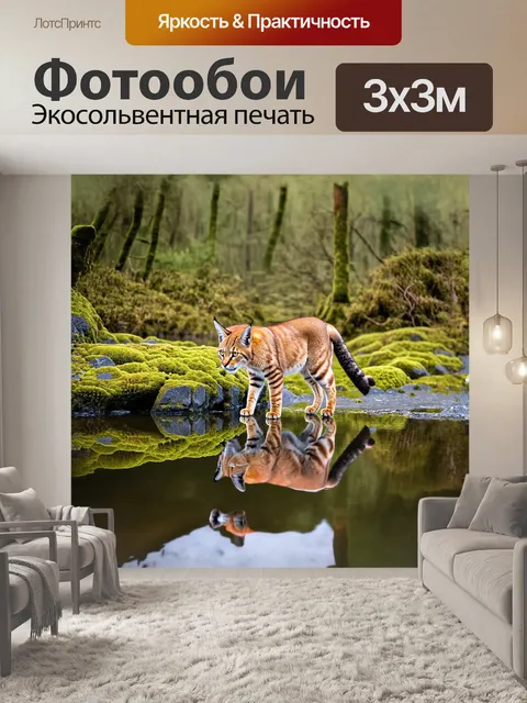 Фотообои на дремучем лесном озере, окружённом мхом и камнями, рысь подходит к воде, чтобы напиться