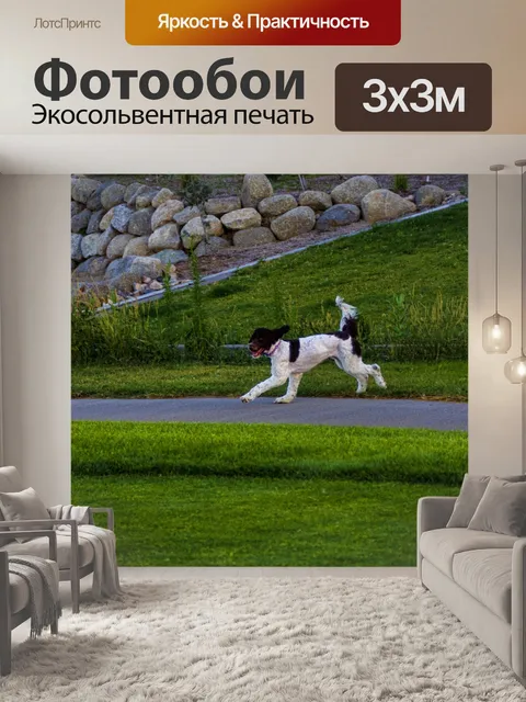 Фотообои Собака работает