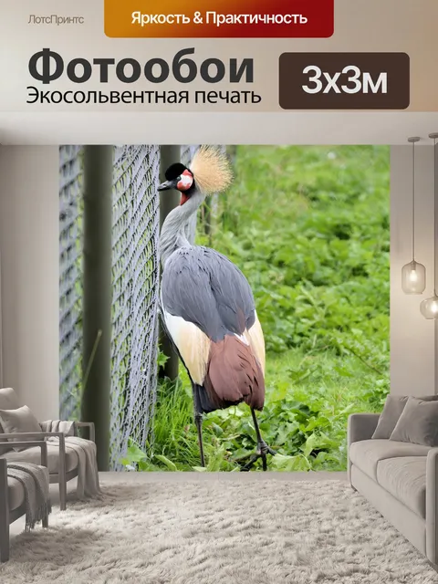 Фотообои Увенчанный кран