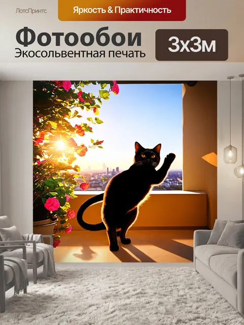 Фотообои черный кот, ловящий солнечные лучи на открытом балконе, с видом на город