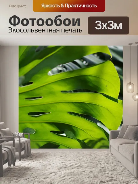Фотообои Монстера деликатесная