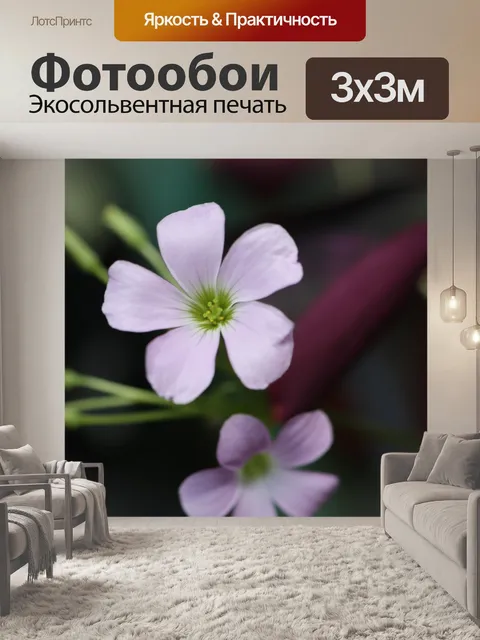 Фотообои Два фиолетовые цветы