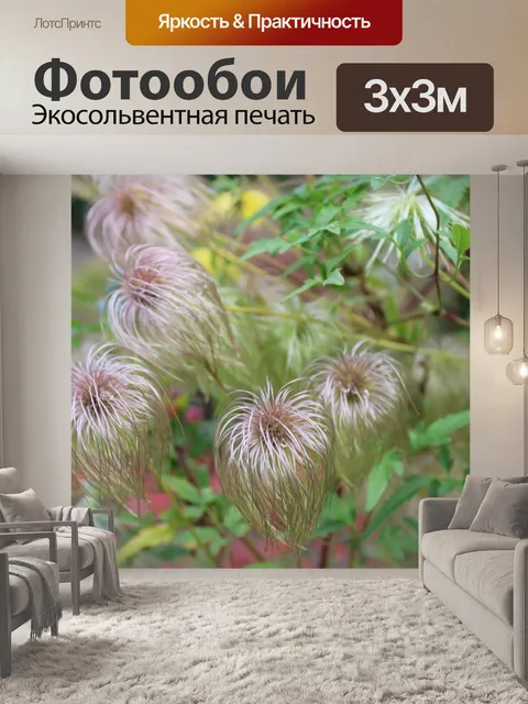 Фотообои Расцветает