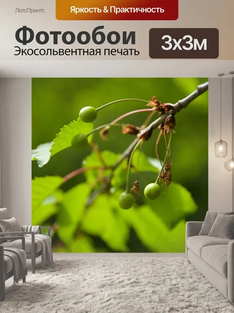 Фотообои Дерево