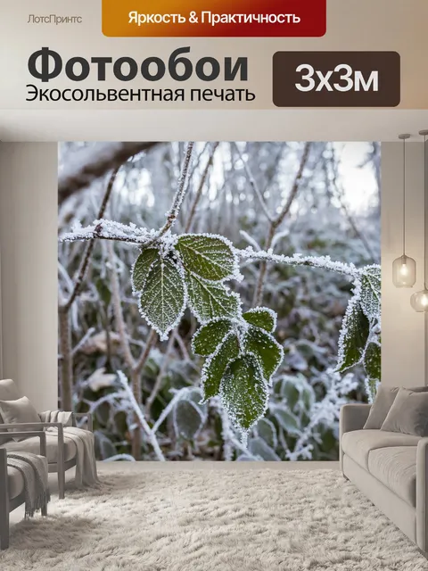 Фотообои Зима