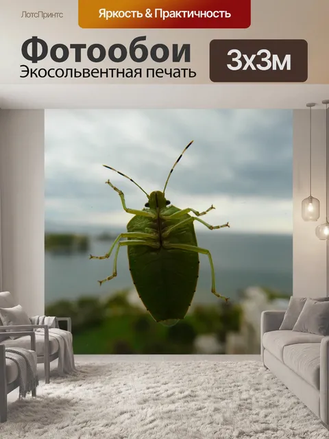 Фотообои Зеленый жук