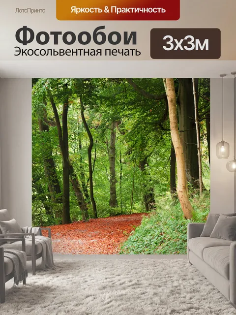 Фотообои Путь в лесу