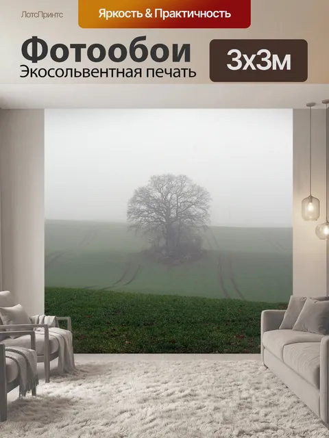Фотообои Туман