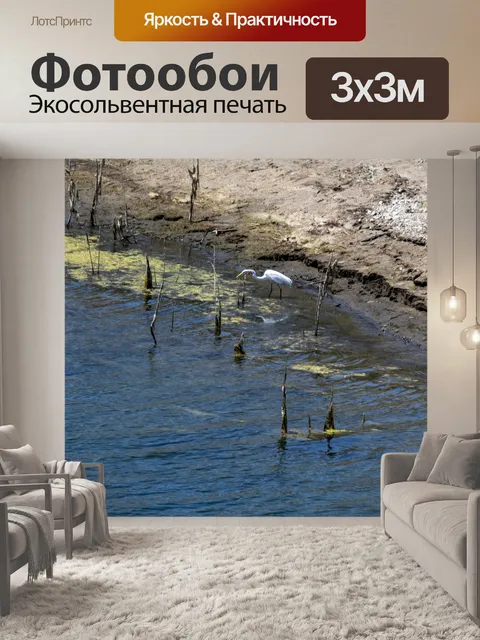 Фотообои Снежная цапля