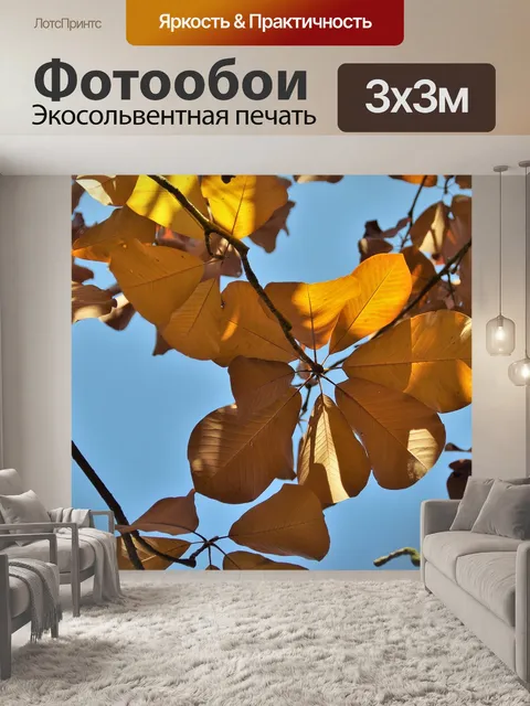 Фотообои Дерево