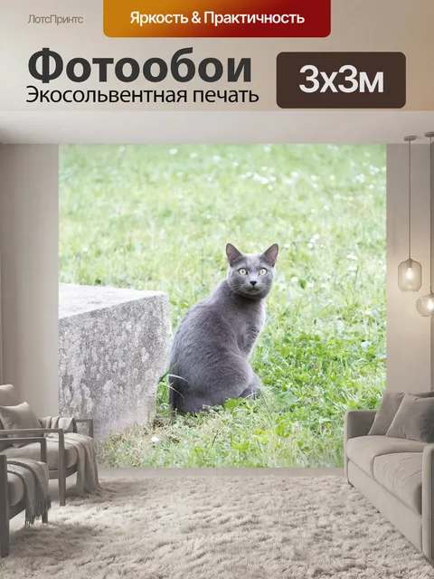 Фотообои Серый кот сидит в траве