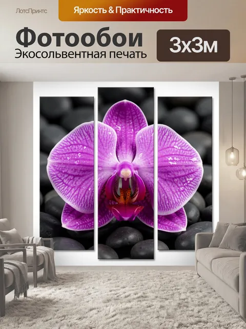 Фотообои Орхидея на черных камнях