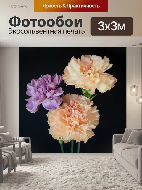 Фотообои гвоздики, букет, бутоны, цветы,
